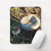 Tapis De Souris Champignons, Oregon (Avec souris)