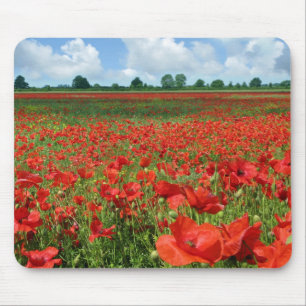 Tapis De Souris Champs de pavot