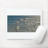 Tapis De Souris Chanson de cygne (Avec souris)