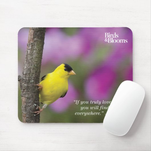 Tapis De Souris Chardonneret (Avec souris)