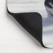 Tapis De Souris Chargement effectué (Coin)