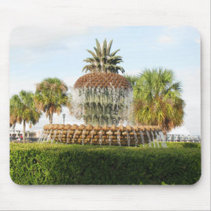 Tapis De Souris Charleston SC Pineapple Fountain, Waterfront Park