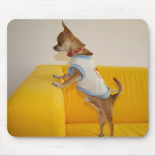 Tapis De Souris Charlie Chihuahua