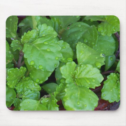 Tapis De Souris Charlie de rampement (Devant)