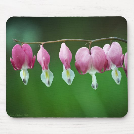 Tapis De Souris Charms roses Mousepad (Devant)