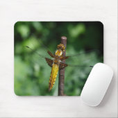 Tapis De Souris Chaser à corps large (Avec souris)