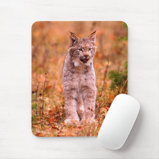 Tapis De Souris Chasse Bobcat | Forêt d'automne (Avec souris)