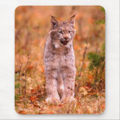 Tapis De Souris Chasse Bobcat | Forêt d'automne (Devant)