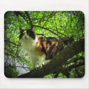 Tapis De Souris Chasseur d'oiseaux de Calico