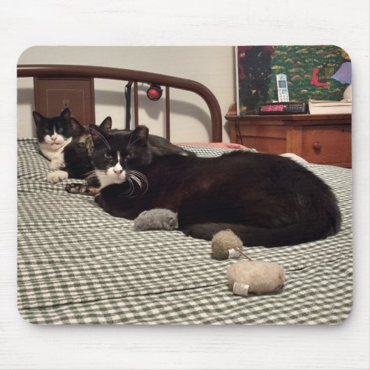 Tapis De Souris Chat (Devant)