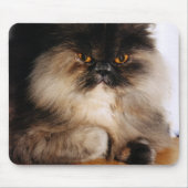 Tapis De Souris Chat (Devant)