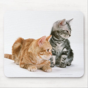 Tapis De Souris Chat 2 de Shorthair d'Américain