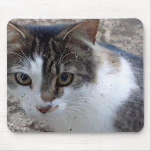 Tapis De Souris Chat à la fenêtre