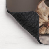 Tapis De Souris Chat, Animal De Compagnie, Kitten (Coin)