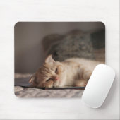 Tapis De Souris Chat, Animal De Compagnie, Kitten (Avec souris)