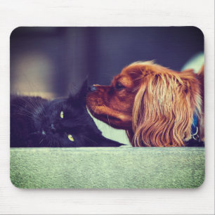 Tapis De Souris Chat, Animal, Kitten