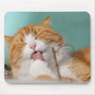 Tapis De Souris chat, animal, lécher, animal