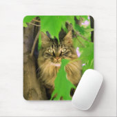 Tapis de souris Chat Arbre (Avec souris)