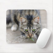 Tapis De Souris chat attrapé un lézard (Avec souris)