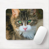 Tapis De Souris Chat aux yeux verts (Avec souris)