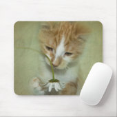 Tapis De Souris Chat avec marguerite (Avec souris)
