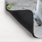 Tapis De Souris Chat, Blanc, Animaux (Coin)