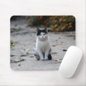 Tapis De Souris Chat, Blanc, Animaux (Avec souris)