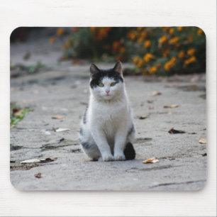 Tapis De Souris Chat, Blanc, Animaux