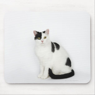Tapis De Souris Chat blanc avec les taches noires