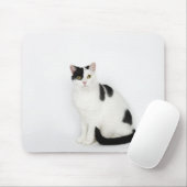 Tapis De Souris Chat blanc avec taches noires (Avec souris)