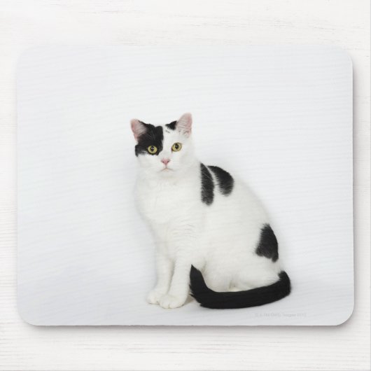Tapis De Souris Chat blanc avec taches noires (Devant)