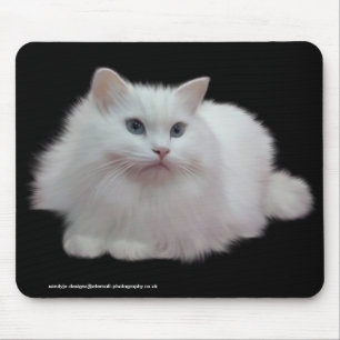 Tapis De Souris Chat blanc pelucheux