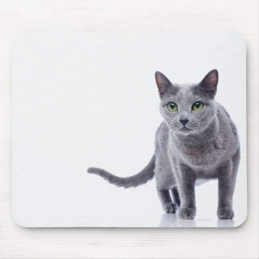 Tapis De Souris Chat bleu russe (Devant)