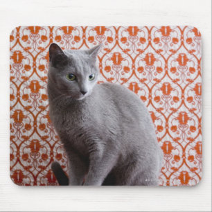 Tapis De Souris Chat (bleu russe) et papier peint arrière - plan