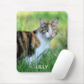 Tapis De Souris Chat brun et blanc (Avec souris)