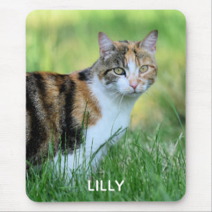 Tapis De Souris Chat brun et blanc
