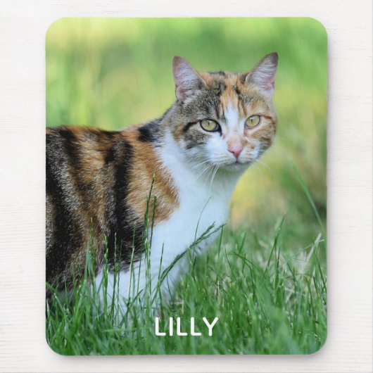 Tapis De Souris Chat brun et blanc (Devant)