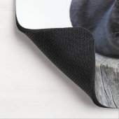 Tapis De Souris chat, C'est la vie! (Coin)