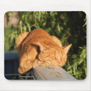 Tapis De Souris chat, chat rouge, animal de compagnie
