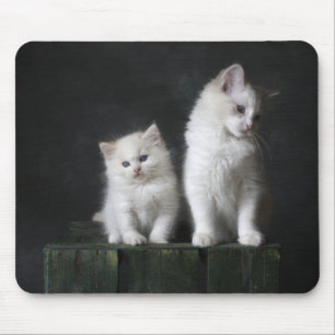 Tapis De Souris chat, chaton, félin