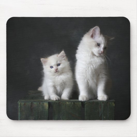 Tapis De Souris chat, chaton, félin (Devant)