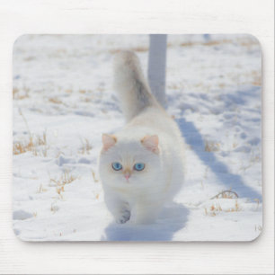 Tapis De Souris Chat, Chaton, Neige