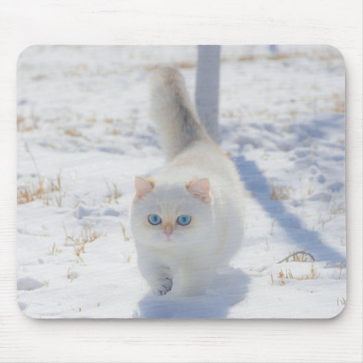 Tapis De Souris Chat, Chaton, Neige (Devant)