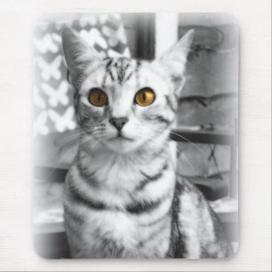 Tapis De Souris Chat Cheeky