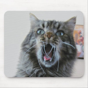 Tapis De Souris Chat choqué est choqué