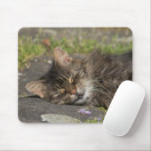 Tapis De Souris Chat couché (Avec souris)