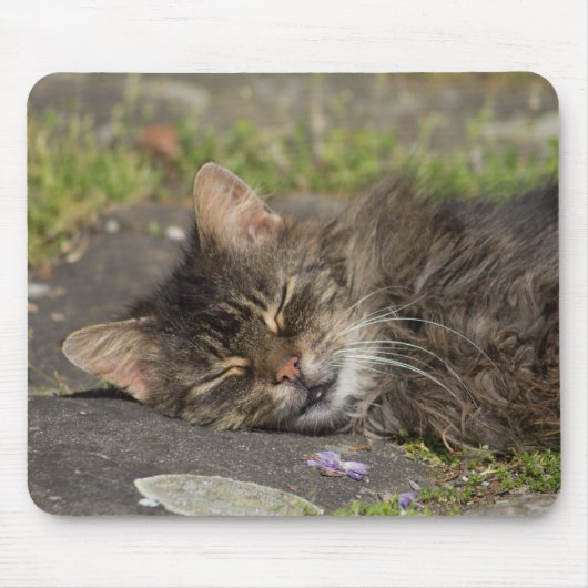 Tapis De Souris Chat couché (Devant)