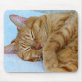 Tapis De Souris Chat couché (Devant)