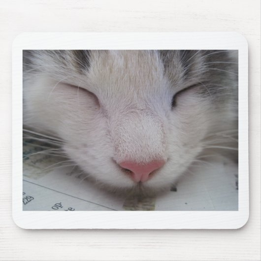Tapis De Souris Chat couché (Devant)