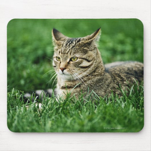 Tapis De Souris Chat couché dans l'herbe (Devant)